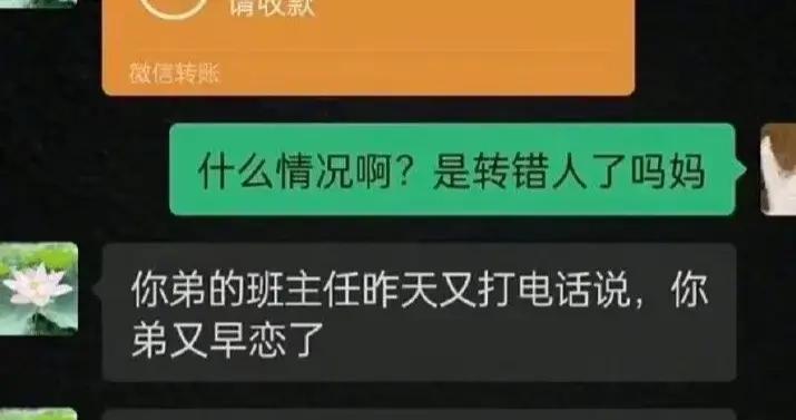 爆笑神評：媽媽轉賬的理由真的讓我沉默了