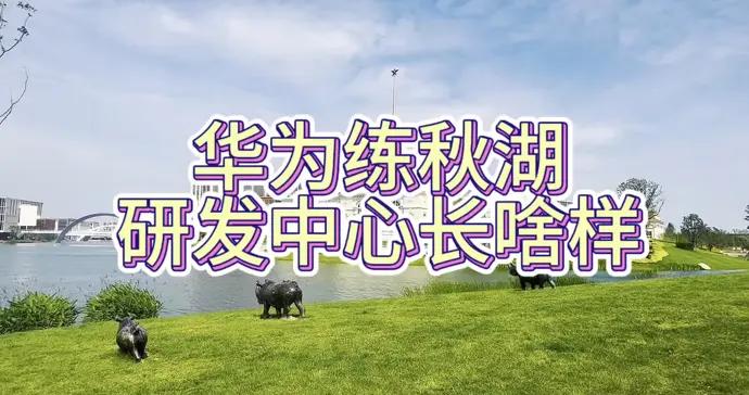 華爲練秋湖研發中心長啥樣？一分鐘帶你看看
