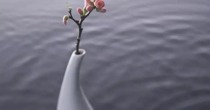 莊子：“無用”的人生有多高級