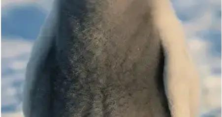 10個笑斷氣的笑話，梗多笑點足，足夠笑破你的肚子