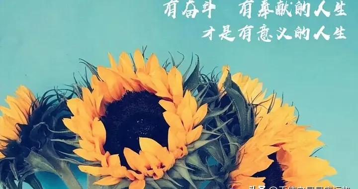 下週｜蒂姆 2025年6月16日-6月22日 十二星座一週展望