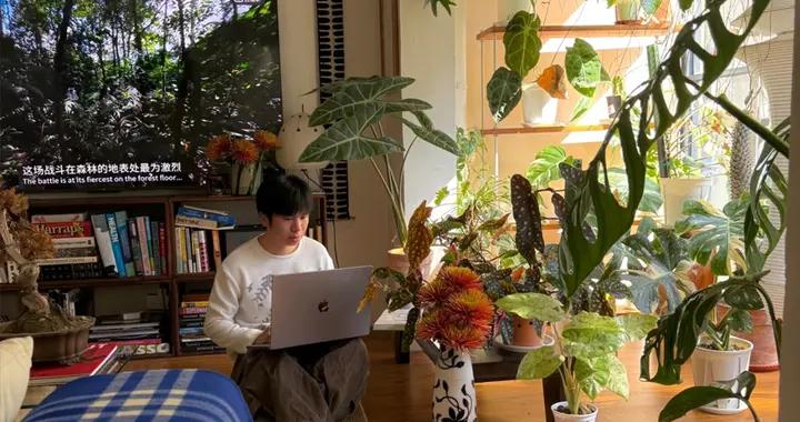 深圳一男子，40㎡小家裏盡是花草綠植，堪稱把家變成了“植物園”