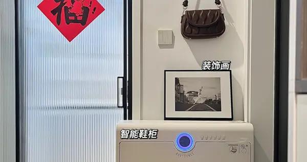 安徽女主因太會收納而走紅，堅持全屋打滿櫃子，實用又高級