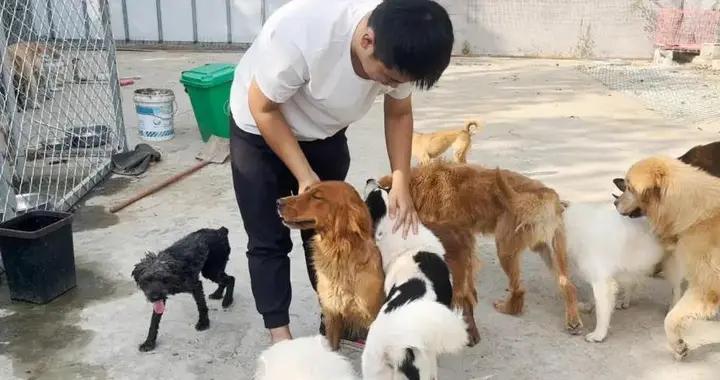 狗狗隔離兩週後撒歡跑，新朋友見面好熱鬧，你猜它們有多開心？