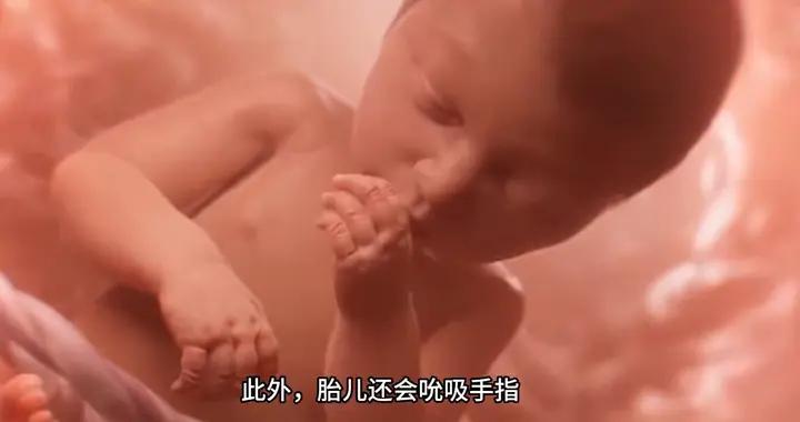 胎寶每天在媽媽子宮不僅睡覺，還會做學7件事，太聰明太可愛了