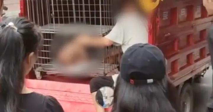 多名幼童當街被關鐵籠？當地通報：一對夫妻育6子，妻子智力障礙，非拐騙