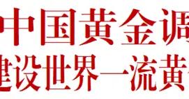 張玉卓到中國黃金調研