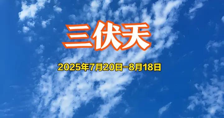 “頭伏喫3寶，不把醫生找”，7月20日入伏，“3寶”指啥？咋喫？