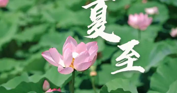 明日夏至，老傳統要“補夏”，記得喫：1肉2果3菜，應時節樂過夏