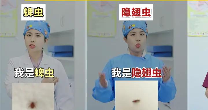 夏天孩子要警惕三種“毒蟲”，醫生：輕則毀容，重則喪命