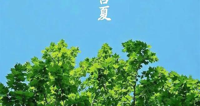 夏至後要“補夏”，記得：喫2菜，2肉，2湯，做2事，應時節樂過夏