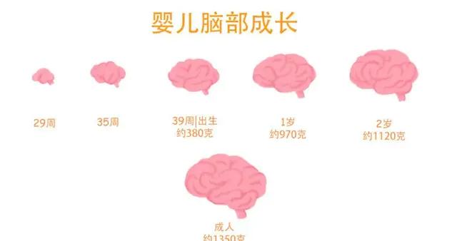 哈佛研究：三歲前是孩子大腦發育黃金期！7個信號別錯過了