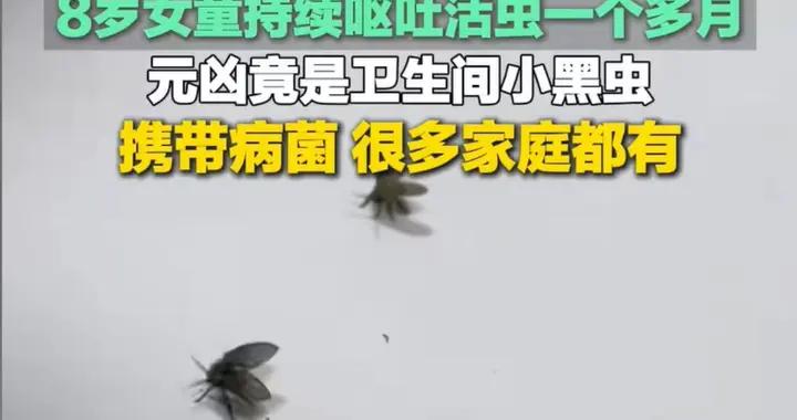 8歲女孩一個多月每天口吐“活蟲”，醫生：罪魁禍首幾乎每家都有