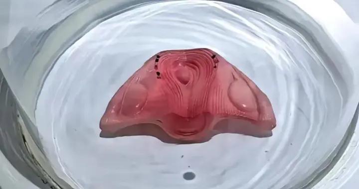 懷胎十月，胎寶每個月是咋樣的？一組3D成長圖告訴你答案