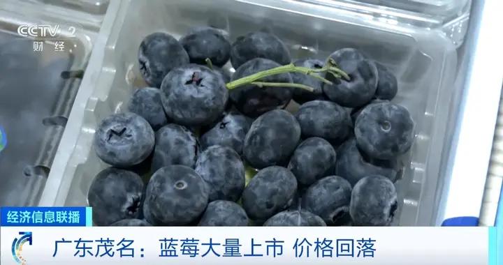 藍莓價格“腰斬”！每天喫一盒會發生什麼？皮膚真的會變白嗎？