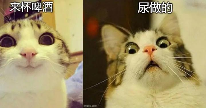他們用污水和尿做啤酒，還有人把啤酒糟做成了小揹包？