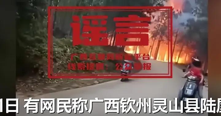 闢謠丨廣西靈山縣陸屋鎮山火導致兩人死亡爲不實消息