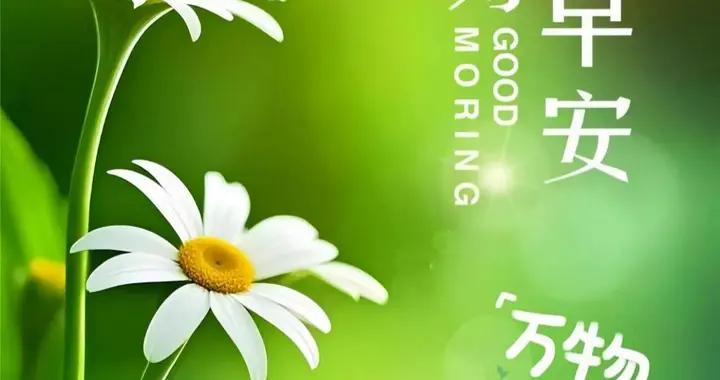 芳菲四月，祝你快樂今天，明天，天天! 早安，我的朋友們