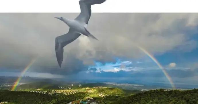 颱風吹來一隻鳥，它首訪江蘇？