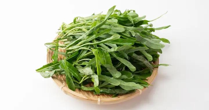 苦菜的功效很多人不知道，現在瞭解還不晚！