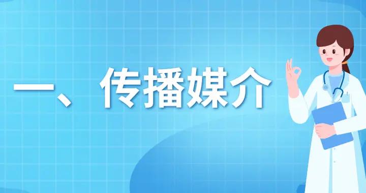 速看！預防基孔肯雅熱和登革熱，從夏季防蚊開始 | 科普時間