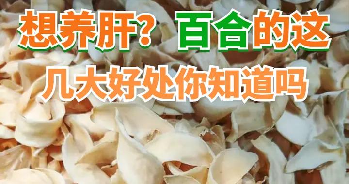 想養肝？百合的這幾大好處你知道嗎