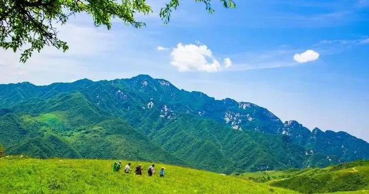 冬練三九，夏練三伏！這種養生功法，夏天練習效果更佳