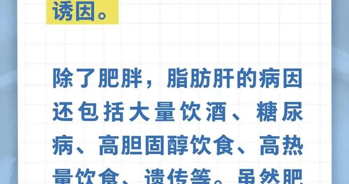 只有胖人才會得脂肪肝……是真是假？｜謠言終結站