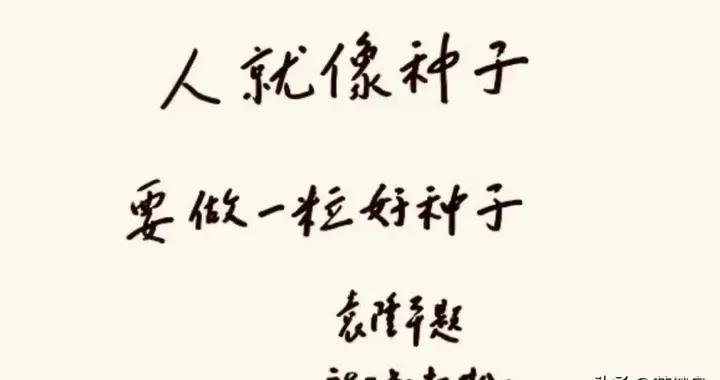 從糧荒到科學餐桌：一部中國人的營養覺醒史
