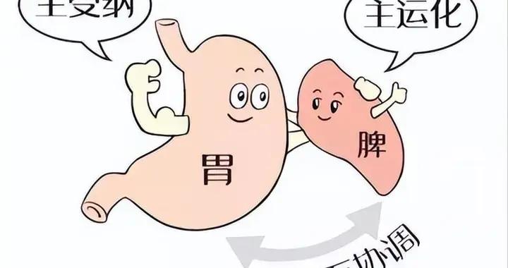 脾虛不要過度治療，記住這個小方子！疏肝健脾，補腎祛溼還不上火