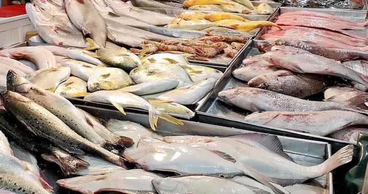 最有營養的魚，不是帶魚和鯽魚，而是這4種魚，補腦益智，強免疫