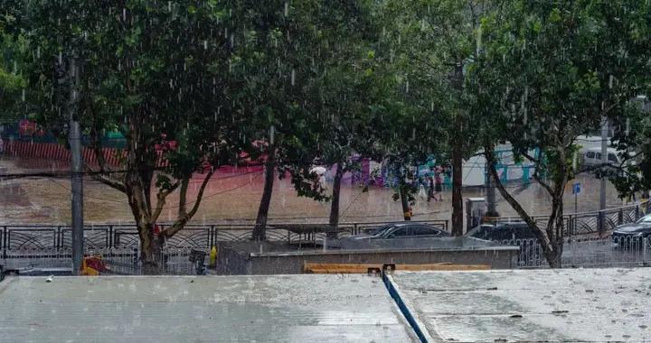 雷電大雨天沒帶雨具時，可以在樹下躲雨？