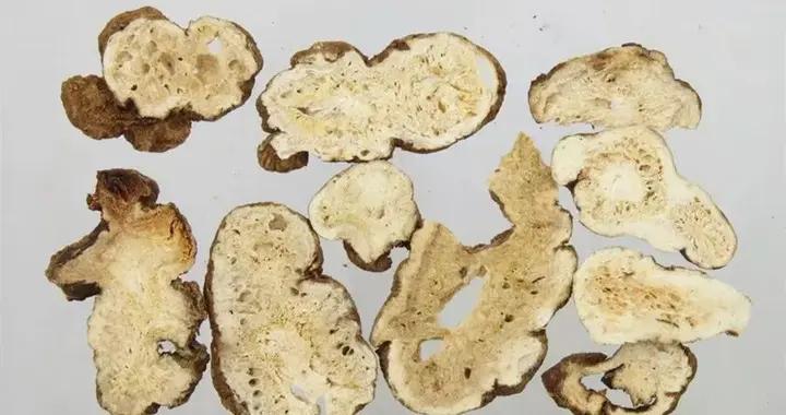 中醫名家應用蒼、白二術治療脾胃溼類疾病的經驗分享