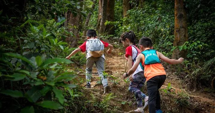 哈佛女校長：多去4個地方玩，孩子眼界寬闊、格局高，有智慧