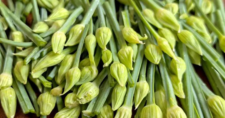 7月，蒜薹韭菜靠邊站，嚐嚐這五種“黃金菜”，營養好喫還不貴！