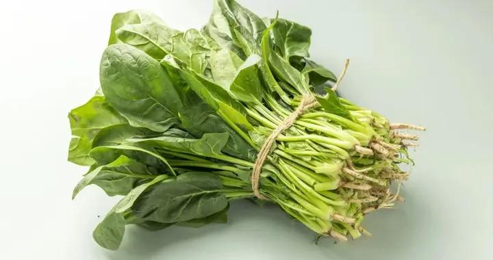 菠菜和豆腐不能一起喫？尿酸高不能喫菠菜？關於菠菜的 3 大謠言