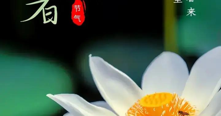 小暑，數不盡的快樂和幸福