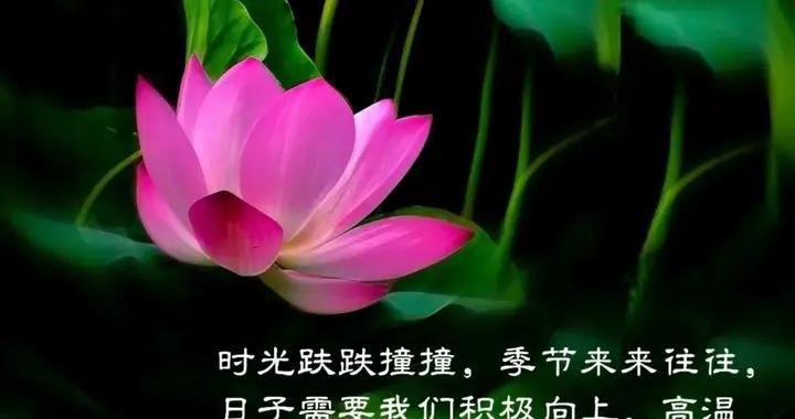 小暑安康，注意防暑，早安美圖送給你