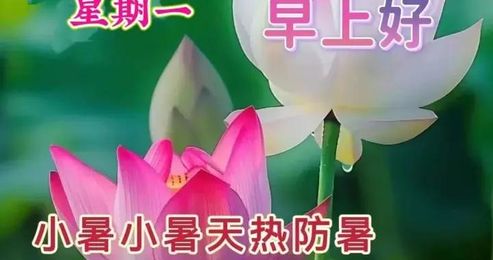 2025年7月7日 小暑安康 週一早安圖片