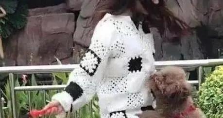 泰迪犬總聞褲襠很尷尬？5個怪行爲揭祕，你家狗中了幾個？