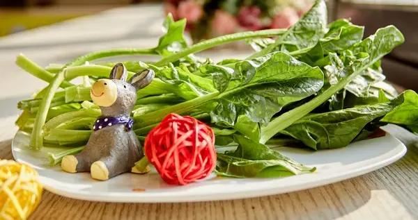 春季養肝喫什麼？這份應季食譜請收好！