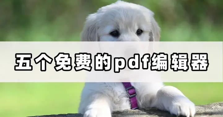 五個免費的PDF編輯器，讓你輕鬆編輯PDF文件！
