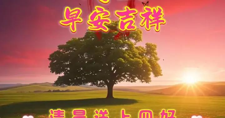 新的一天，願這份愜意常伴，早上好！