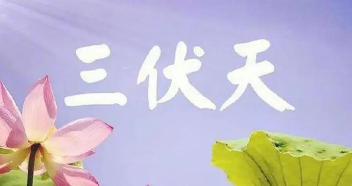 今天入伏，傳統喫餃子，提醒：3餡不上桌，福氣不進門，哪3餡？