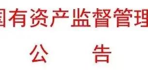 國務院國資委關於組建中國雅江集團有限公司的公告