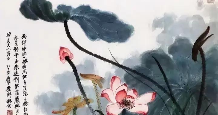 張大千一生癡迷荷花，真相竟讓人震驚