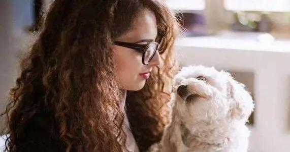 比熊犬萌翻天卻難伺候？新手養狗踩坑多，你敢試嗎