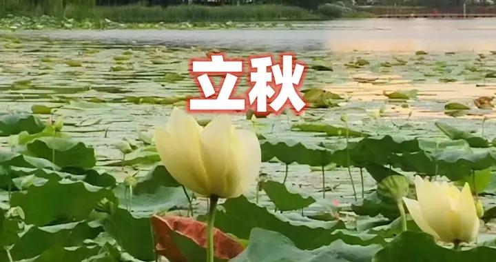 8月7日立秋日，無論貧富別忘記“喫3樣，做1事”，秋冬養個好身體