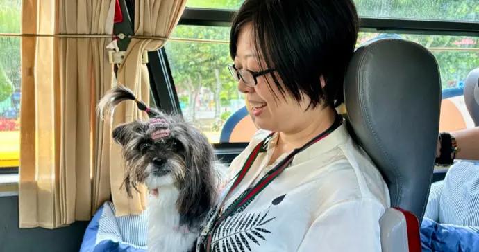 週末到，上車逗狗擼貓！小貓小狗專線又發車啦