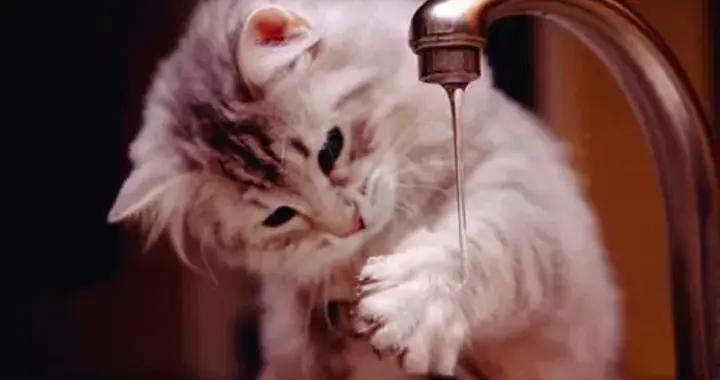 13個爆笑幽默笑話，看一次笑一次，笑到鼻涕泡滿天飛